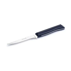 N°222 Fleisch- & Geflügelmesser Intempora
